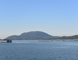 Sunnhordland Fjordbruk AS lokalitet Ebne