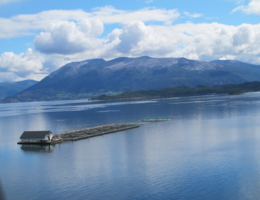 Tysnes Fjordbruk AS, lokalitet Ønarøy