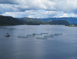 Tysnes Fjordbruk AS, lokalitet Skorpo