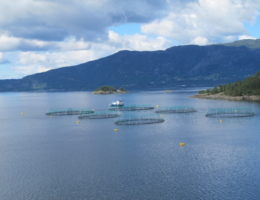 Tysnes Fjordbruk AS, avdeling Ystanes